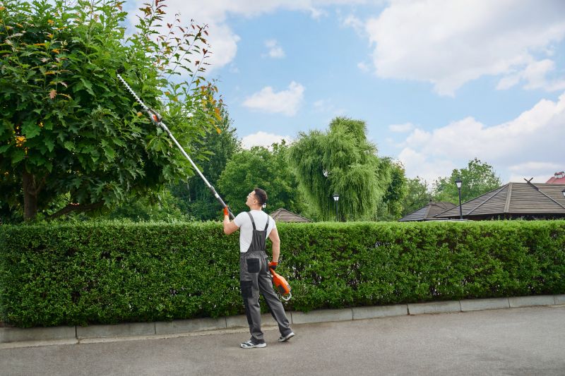 Landscape Tree Maintenance