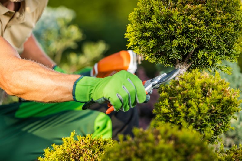 Garden Maintenance Firms